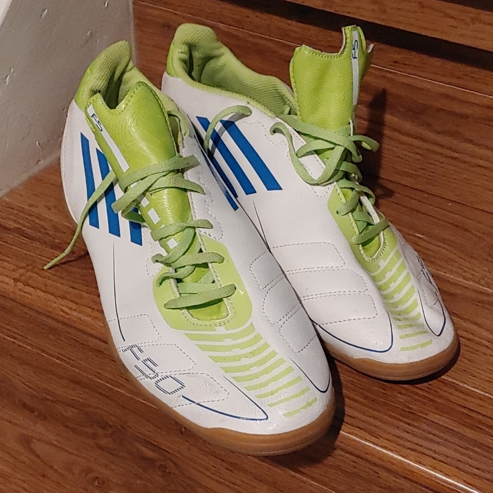 Shoe